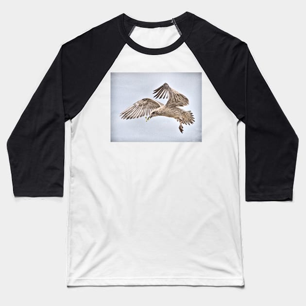 Early Flight Baseball T-Shirt by GeoffCarpenter